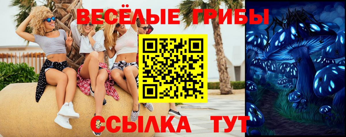 Псилоцибиновые грибы GOLDEN TEACHER Моздок
