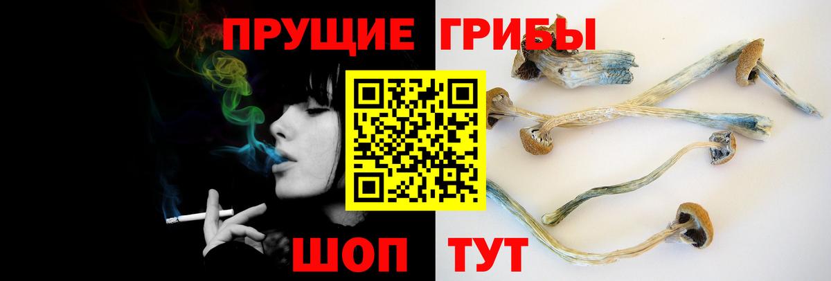 Моздок  закладка  Вход с VPN  Псилоцибиновые грибы Magic Shrooms 