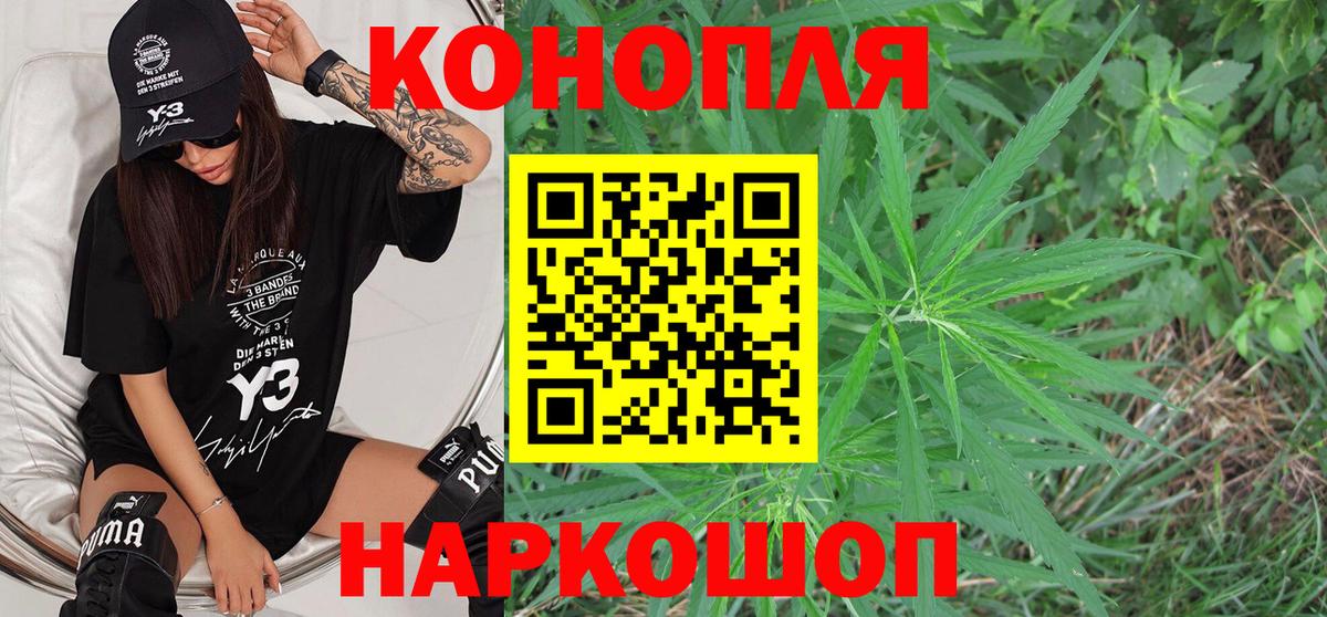 Бошки Шишки тримм Моздок